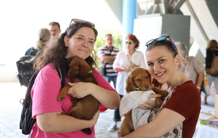 Επιτυχημένη η Φιλοζωϊκή Δράση «Νοιάζομαι» στο Μαρούσι