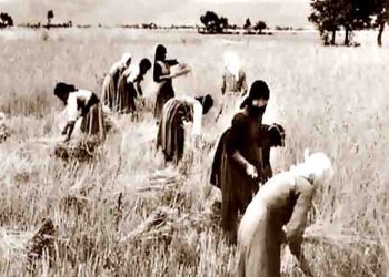 Ιούνιος ο κερασάρης, ο θεριστής και τζιτζικάρης