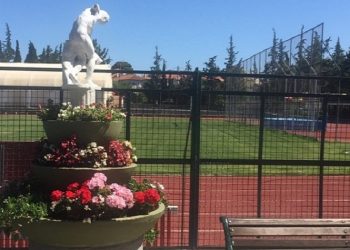 Πρωτοβουλία 152 πολιτών κατά του «ξηλώματος» των κουλουάρ στο «Ζηρίνειο»