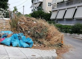 Ελ. Δάβαρη: «Απαγορεύεται το κλάδεμα την αντιπυρική περίοδο - Μεγάλος κίνδυνος πυρκαγιάς»