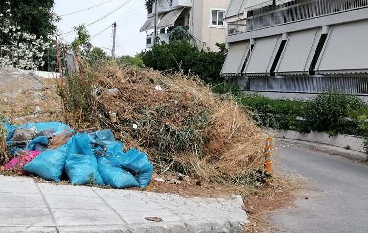 Ελ. Δάβαρη: «Απαγορεύεται το κλάδεμα την αντιπυρική περίοδο - Μεγάλος κίνδυνος πυρκαγιάς»