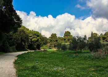 #Ενωμένο Μαρούσι: «Ημέρα αγωνίας για Συγγρού, Μιμηκόπουλου, Αμαλίειο, Σαπφούς»