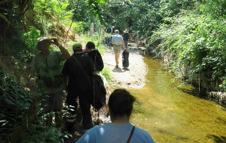 Σύλλογος Ρεματιάς: Τίμησε με εθελοντικές δράσεις την Ημέρα Περιβάλλοντος (Εικόνες)