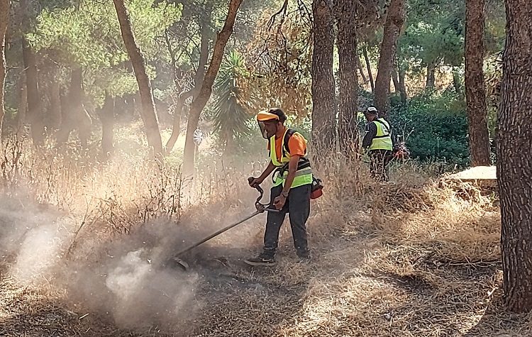 Ο ΣΠΑΠ ολοκλήρωσε το πρώτο στάδιο καθαρισμών και αποψιλώσεων σε Δήμους - μέλη του