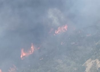 1.700 στρέμματα δασικής βλάστησης κάηκαν - Δέσμευση για αναδάσωση