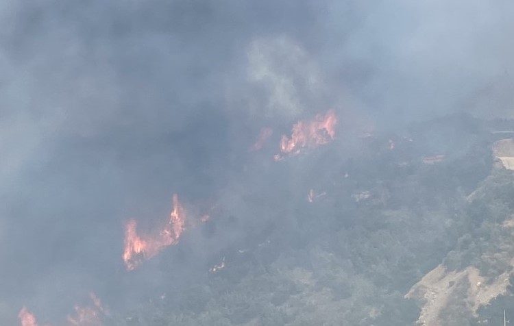 1.700 στρέμματα δασικής βλάστησης κάηκαν - Δέσμευση για αναδάσωση