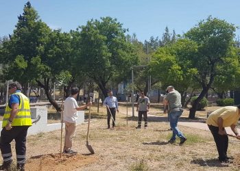 Με ποικίλες δράσεις ο Δήμος τίμησε την Παγκόσμια Ημέρα Περιβάλλοντος