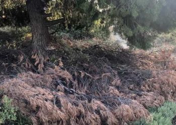 «Νέα Αρχή»: «Αδιάφορος απέναντι στις υποχρεώσεις πυρασφάλειας ο δήμαρχος»