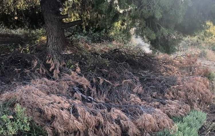 «Νέα Αρχή»: «Αδιάφορος απέναντι στις υποχρεώσεις πυρασφάλειας ο δήμαρχος»