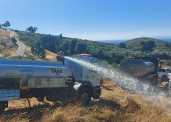 Εργαζόμενοι και εθελοντές του ΣΠΑΠ έδωσαν «ζωή» στα αναδασωμένα δέντρα της Νταού