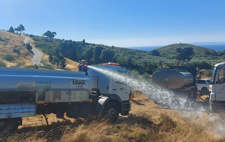 Εργαζόμενοι και εθελοντές του ΣΠΑΠ έδωσαν «ζωή» στα αναδασωμένα δέντρα της Νταού