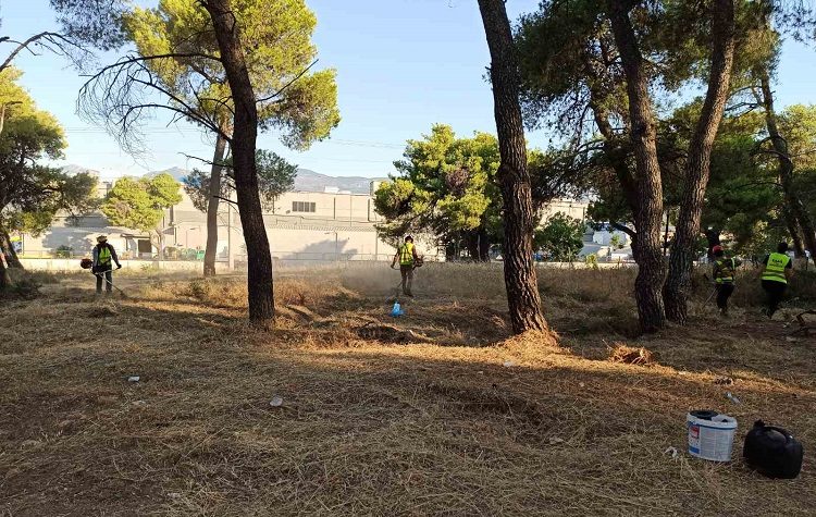 Καθαρισμοί στα δάση από Δήμο - ΣΠΑΠ: Αντιπυρικές εργασίες σε Φασίδερι και Κεφαλάρι