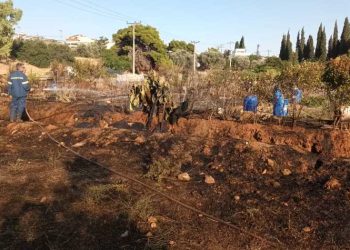 Σβήστηκε η πυρκαγιά στο Κτήμα Καρέλλα στο Μαρούσι