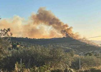 Πύρινα μέτωπα σε Φωκίδα, Ηλεία και Αργολίδα
