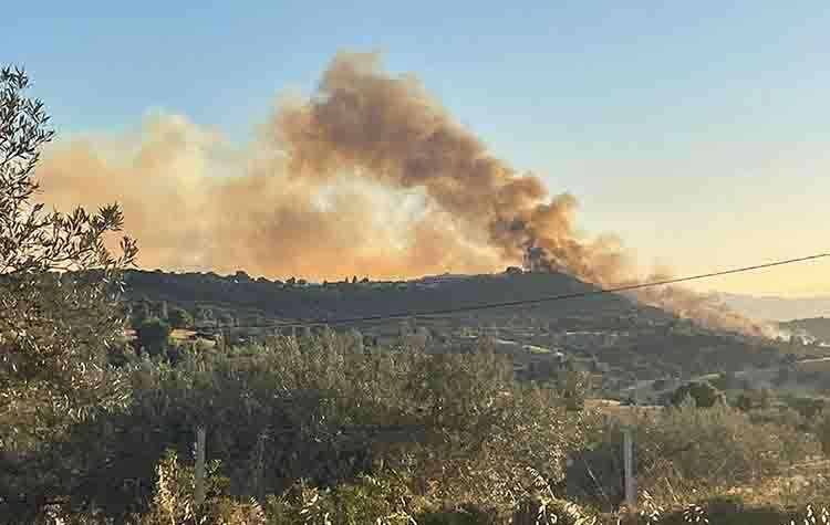 Πύρινα μέτωπα σε Φωκίδα, Ηλεία και Αργολίδα