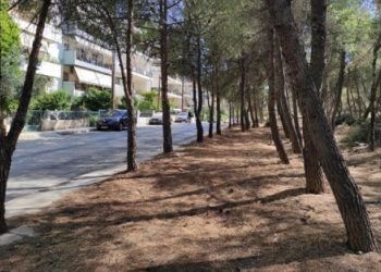 Συνεχίζονται καθαρισμοί και αποψιλώσεις στον Υμηττό