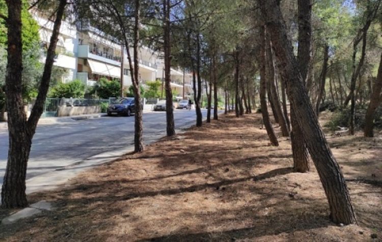 Συνεχίζονται καθαρισμοί και αποψιλώσεις στον Υμηττό