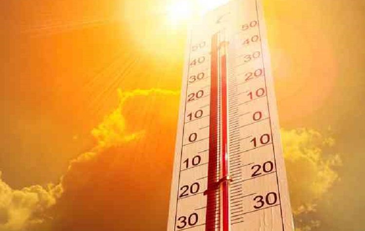 Αυτές είναι οι κλιματιζόμενες αίθουσες του Δήμου Κηφισιάς εν μέσω καύσωνα