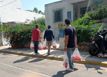 Ντομάτες παραγωγής 1ου ΕΠΑΛ για 2η χρονιά στο Κοινωνικό Μαγειρείο