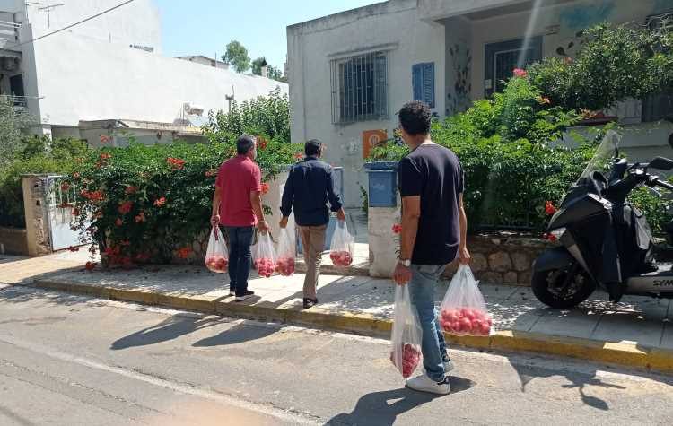 Ντομάτες παραγωγής 1ου ΕΠΑΛ για 2η χρονιά στο Κοινωνικό Μαγειρείο