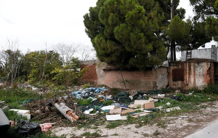 Καθυστερήσεις στο πολύπαθο θέμα του «Πεύκου Πολίτη» - Σε εγρήγορση ο Δήμος