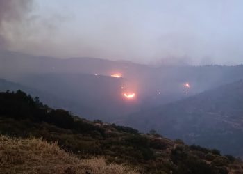 ΕΔΑ Αττικής: Ενημέρωση για την πυρκαγιά στην Πεντέλη