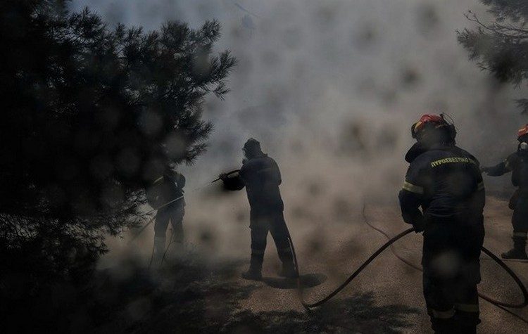 Ο ΣΠΑΠ ολοκλήρωσε τις προληπτικές αντιπυρικές εργασίες κλαδεύσεων στο Άλσος του Πεζοδρόμου της Νέας Μάκρης