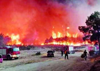 Πυρκαγιές: «Καυτό» καλοκαίρι
