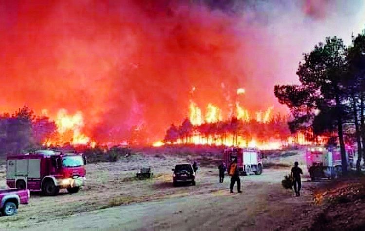 Πυρκαγιές: «Καυτό» καλοκαίρι