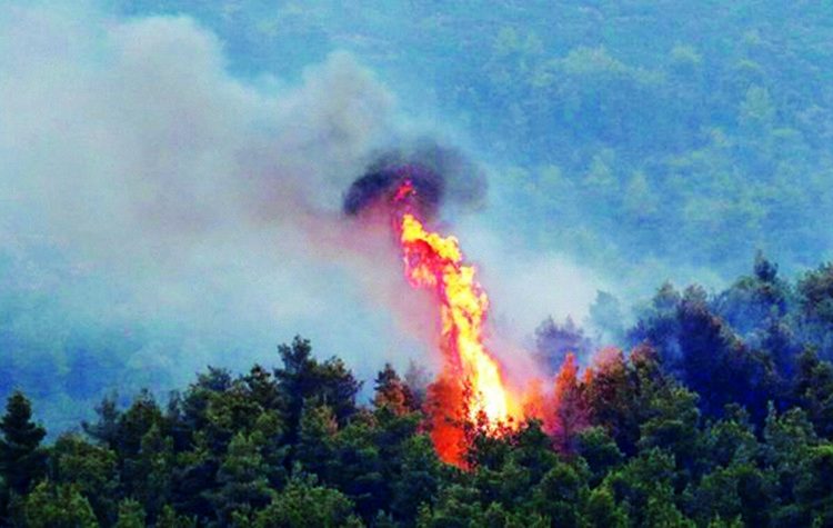 Πυρκαγιές: Η αγωνία και το στοίχημα