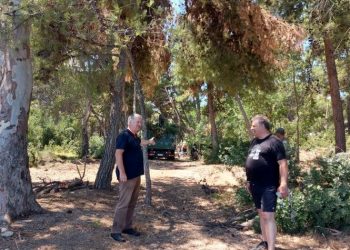 Ο ΣΠΑΠ ολοκλήρωσε τις προληπτικές αντιπυρικές εργασίες κλαδεύσεων στο Άλσος του Πεζοδρόμου της Νέας Μάκρης