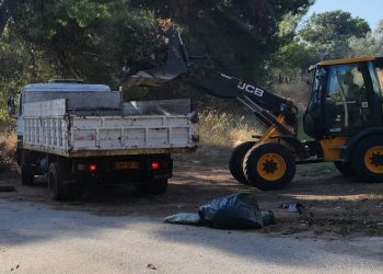 Εργασίες αποκομιδής κλαδιών/απορριμμάτων και αποψιλώσεις από το Δήμο