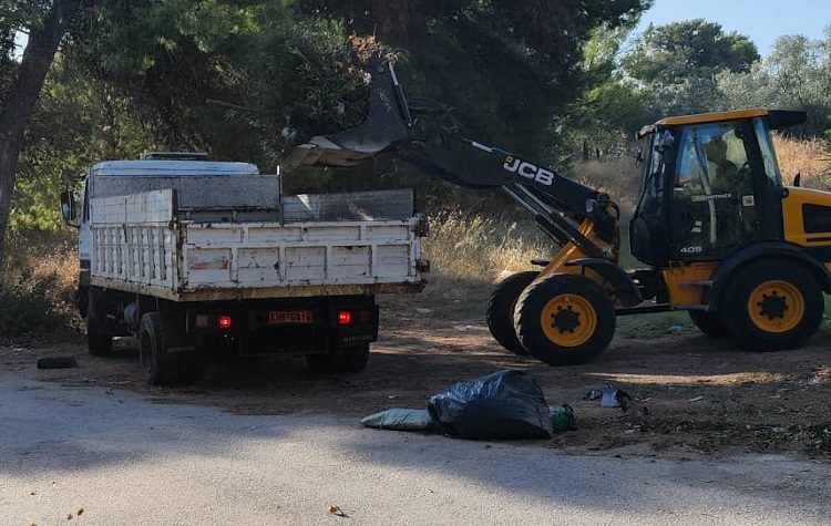 Εργασίες αποκομιδής κλαδιών/απορριμμάτων και αποψιλώσεις από το Δήμο