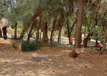 Στη Βουλή φέρνει ο ΣΥΡΙΖΑ - Π.Σ. το θέμα των καθαρισμών στο κτήμα Συγγρού