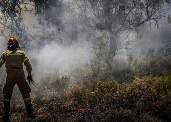 Άνοιξε η πλατφόρμα για τους πυρόπληκτους της Πεντέλης