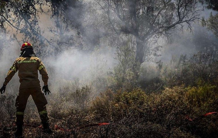 Άνοιξε η πλατφόρμα για τους πυρόπληκτους της Πεντέλης