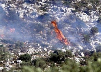 Έσβησε η πυρκαγιά στον εθνικό δρυμό της Βάλια Κάλντα που σιγόκαιγε επί 16 ημέρες