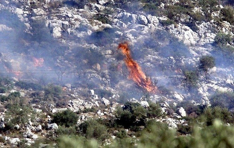 Έσβησε η πυρκαγιά στον εθνικό δρυμό της Βάλια Κάλντα που σιγόκαιγε επί 16 ημέρες