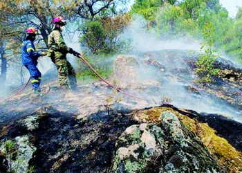 Αναζητώντας «μαξιλάρι»