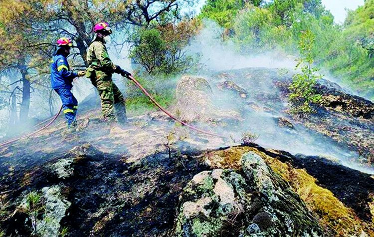 Αναζητώντας «μαξιλάρι»