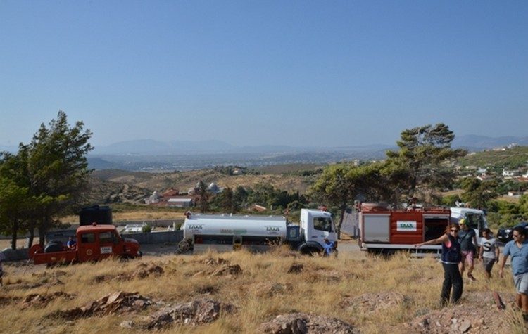 Ο ΣΠΑΠ συνεχίζει τα εθελοντικά ποτίσματα στο Πεντελικό