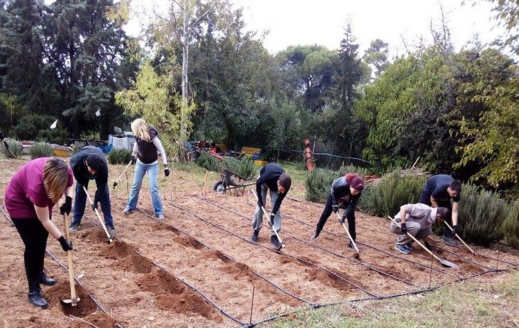Στο Μαρούσι το τμήμα Τεχνολογικών Εφαρμογών και Εγκαταστάσεων σε Έργα Τοπίου και Περιβάλλοντος
