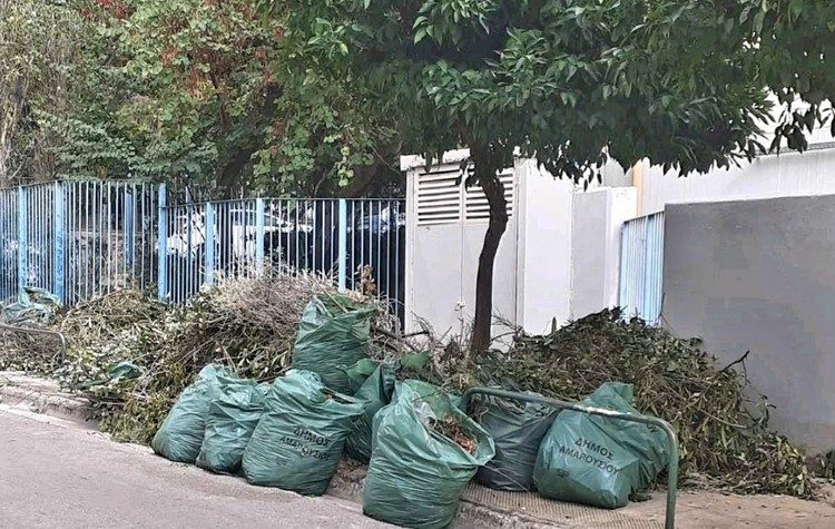 Καθαρισμός και συντήρηση πρασίνου στα σχολεία και παιδικούς σταθμούς του Δήμου Αμαρουσίου