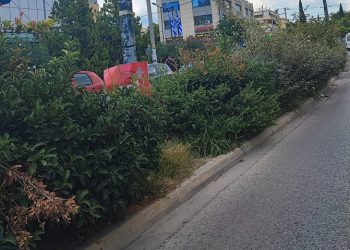 Παναγιώτης Ιωάννου: Αγριόχορτα «πνίγουν» τη νησίδα επί της Λεωφόρου Ειρήνης