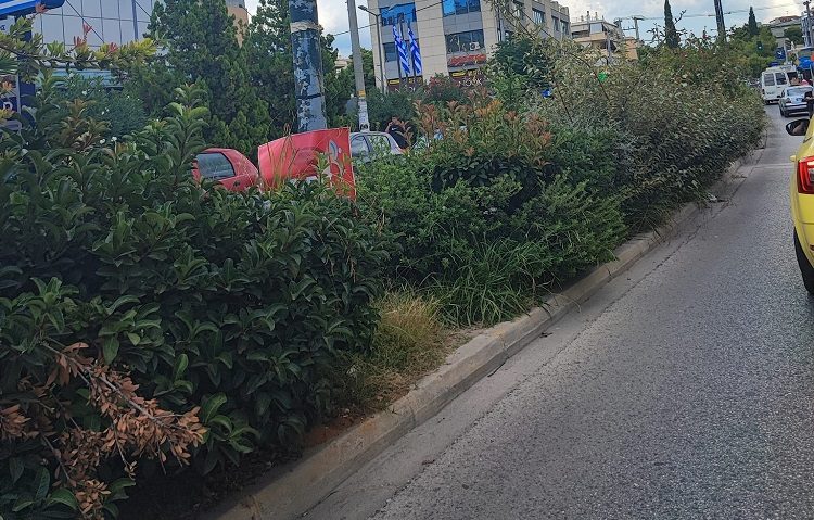 Παναγιώτης Ιωάννου: Αγριόχορτα «πνίγουν» τη νησίδα επί της Λεωφόρου Ειρήνης