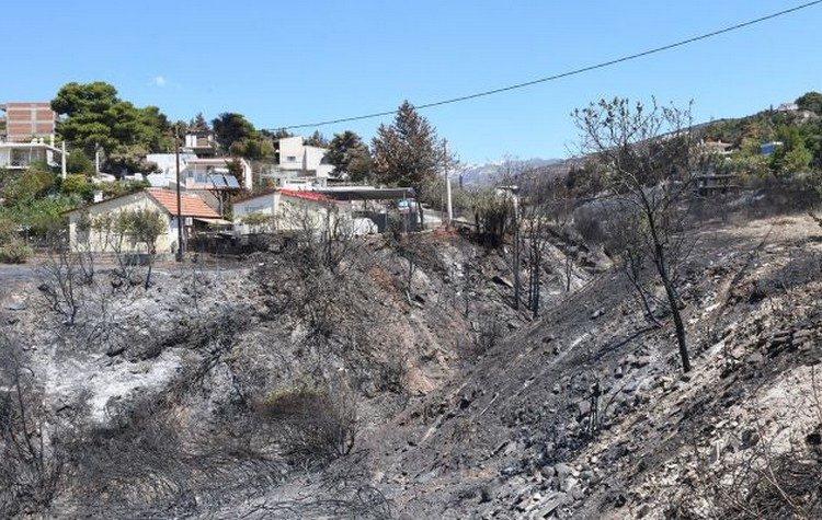 Η Κοινότητα Παλλήνης απαιτεί: Κατά προτεραιότητα αντιπλημμυρικά έργα πριν είναι και πάλι αργά