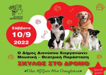 «Σκύλος στον δρόμο»: Παράσταση αφιερωμένη στα αδέσποτα