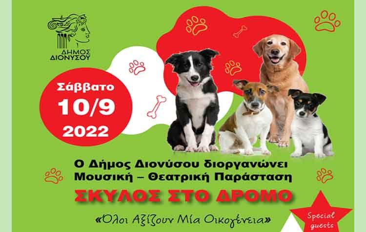 «Σκύλος στον δρόμο»: Παράσταση αφιερωμένη στα αδέσποτα