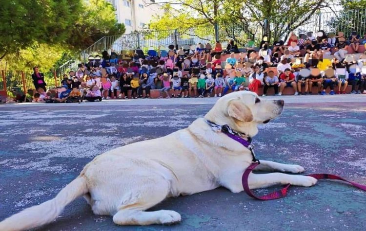 Τα παιδιά μαθαίνουν από τα ζώα…στο Ηράκλειο