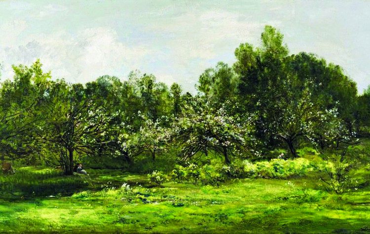 Πέγκη Φαράντου: Η μετεγγραφή του Γιαννάκη